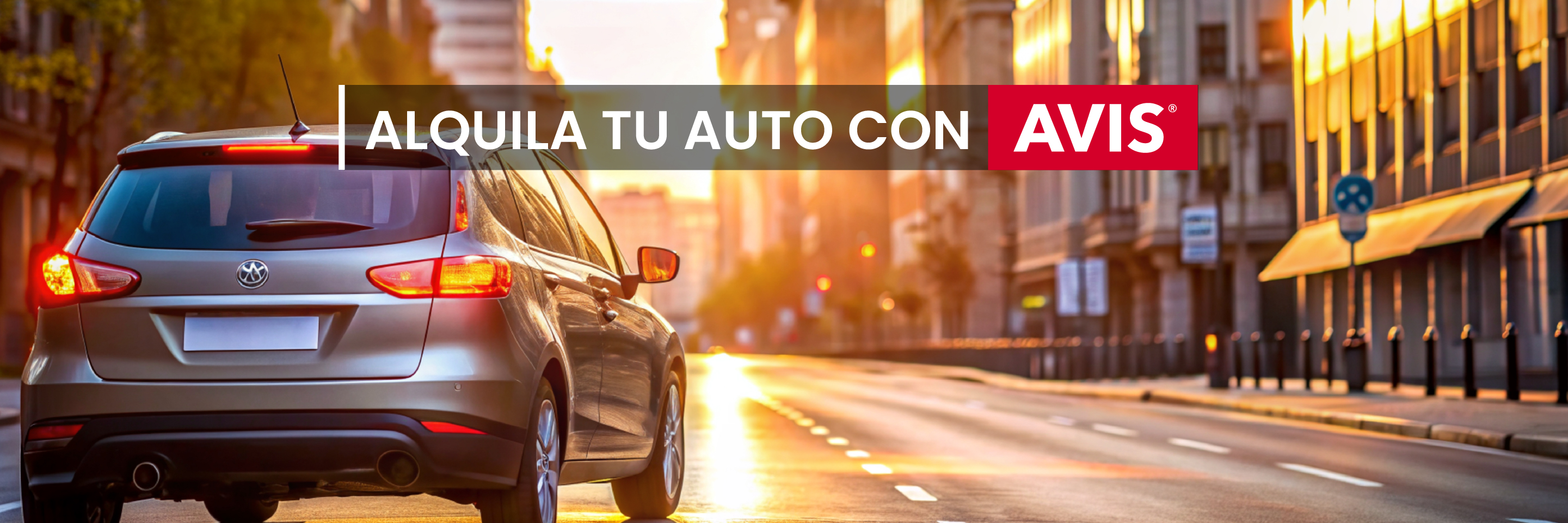 Nuestro proveedor: AVIS