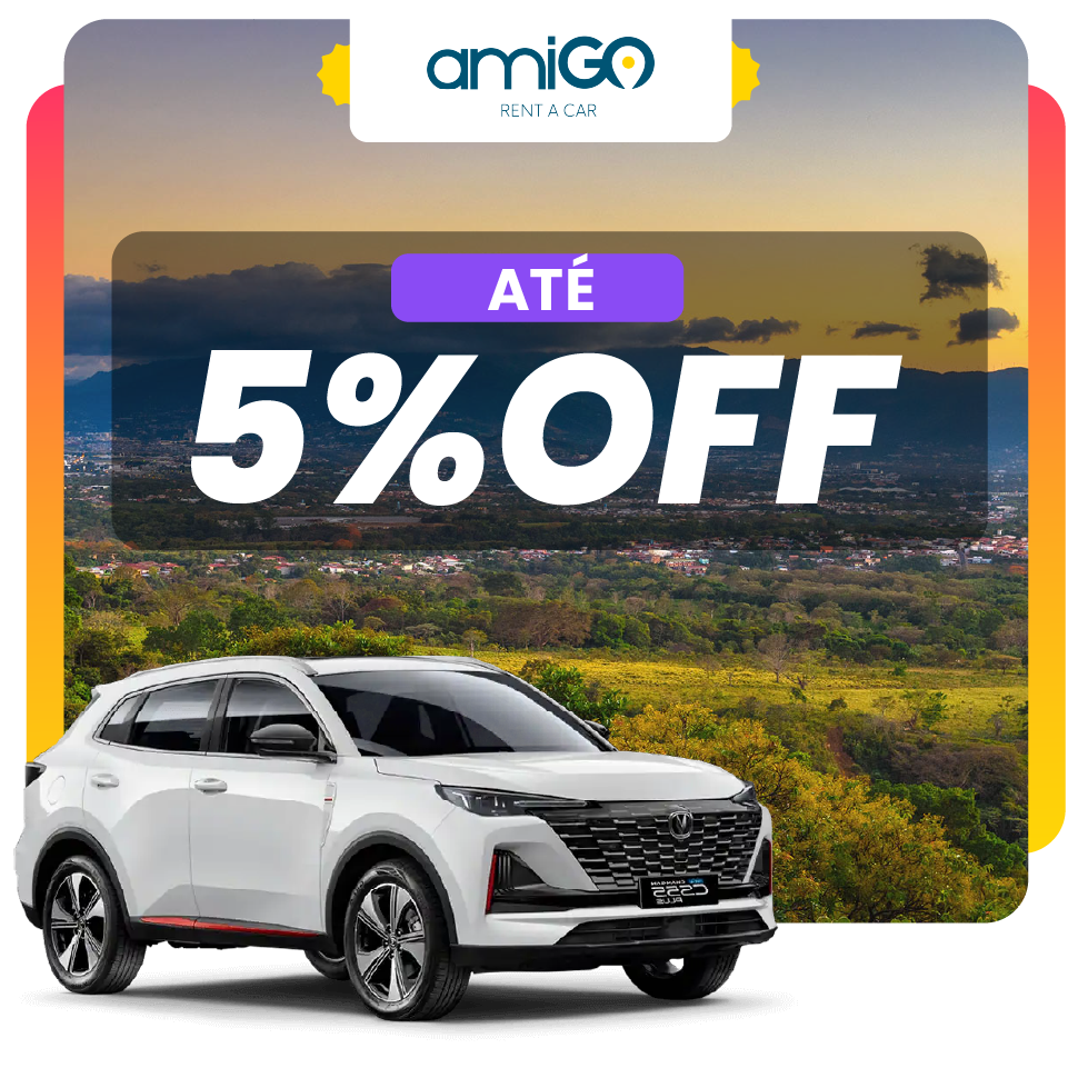 amigo 5% PT.png (993 KB)