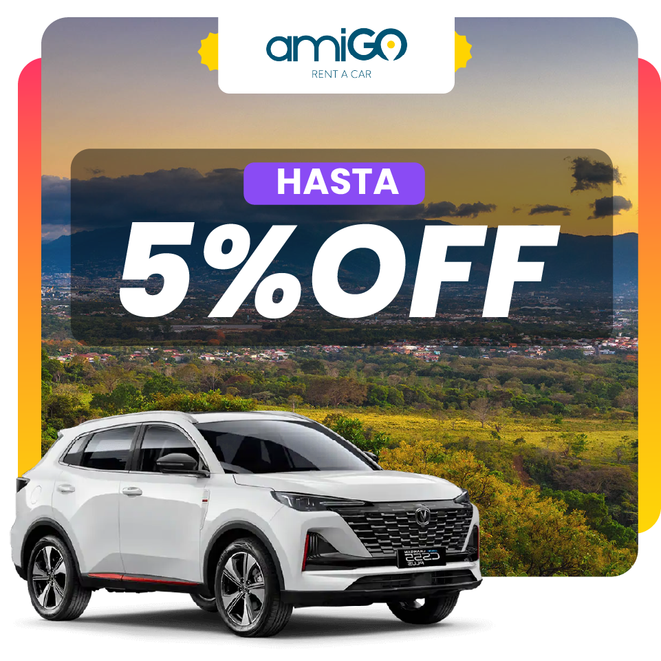 amigo 5% .png (993 KB)
