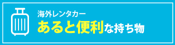 海外レンタカー利用中にあると便利な持ち物