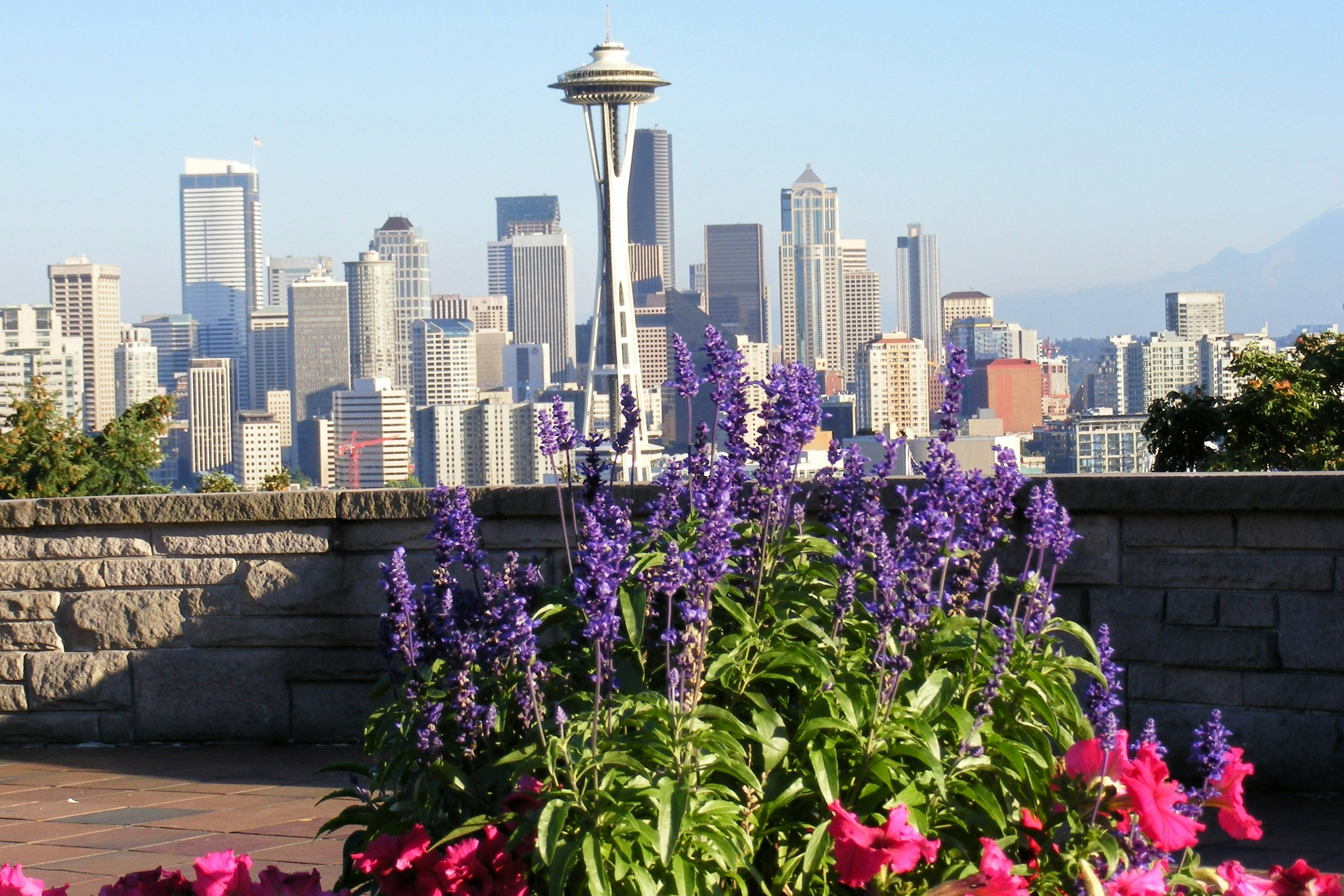 Car Rental Seattle | RentingCarz USA