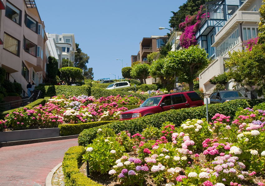 Driving down Lombard Street in your rental car