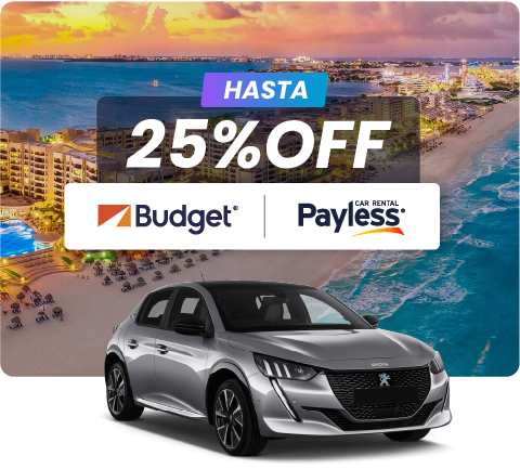 BUDGET-PAYLESS-ES.png (323 KB)