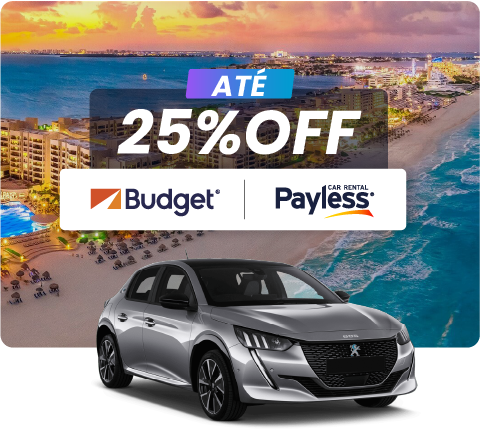 BUDGET-PAYLESS-PT.png (325 KB)